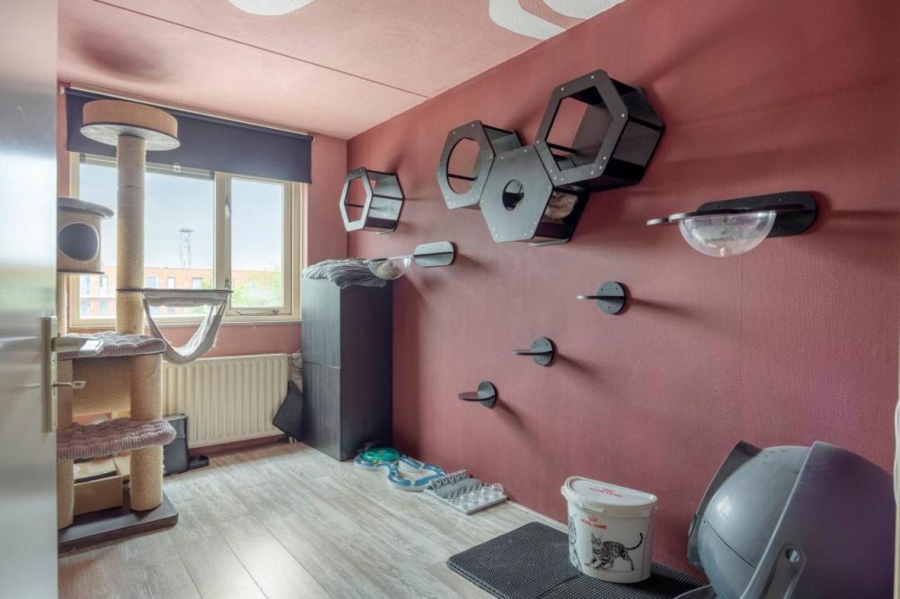 housePhoto